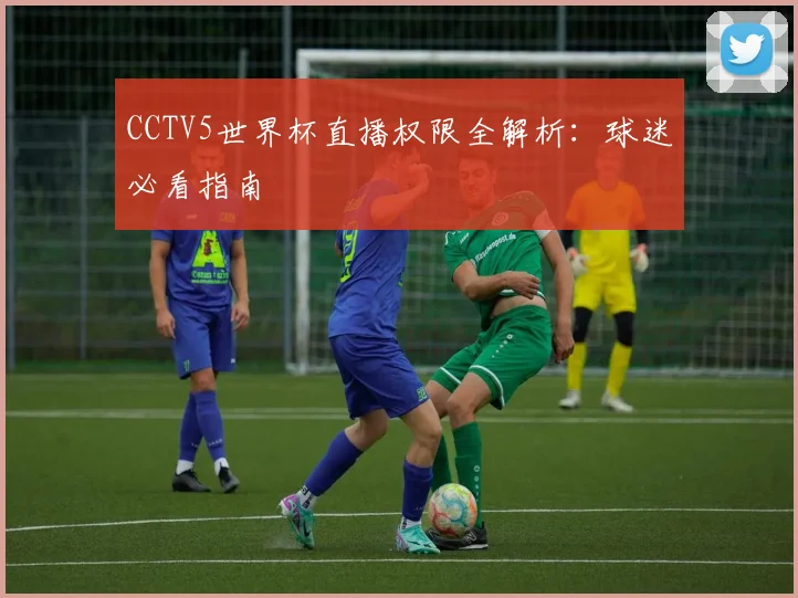 CCTV5世界杯直播权限全解析:球迷必看指南