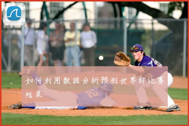 如何利用数据分析预测世界杯比赛结果