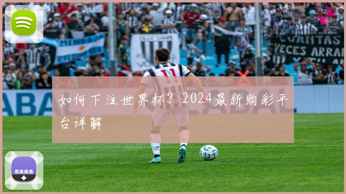 如何下注世界杯?2024最新购彩平台详解