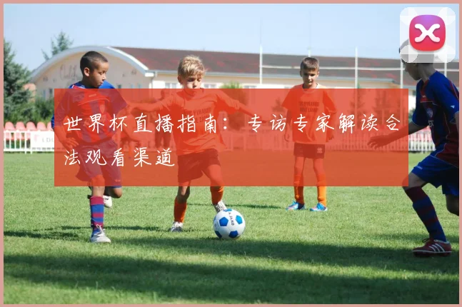 世界杯直播指南:专访专家解读合法观看渠道
