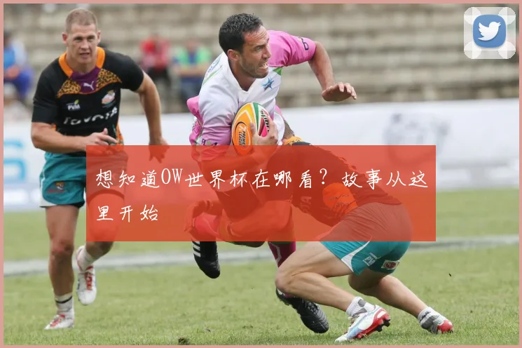 想知道OW世界杯在哪看?故事从这里开始