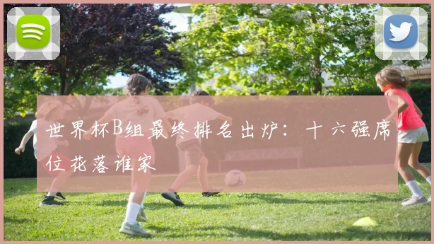 世界杯B组最终排名出炉：十六强席位花落谁家