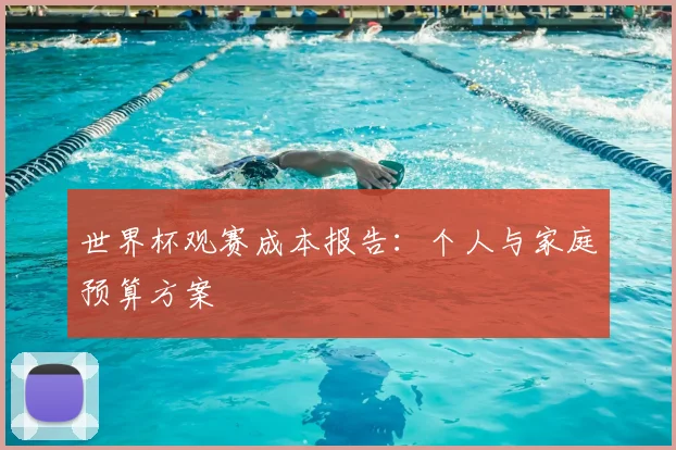 世界杯观赛成本报告：个人与家庭预算方案