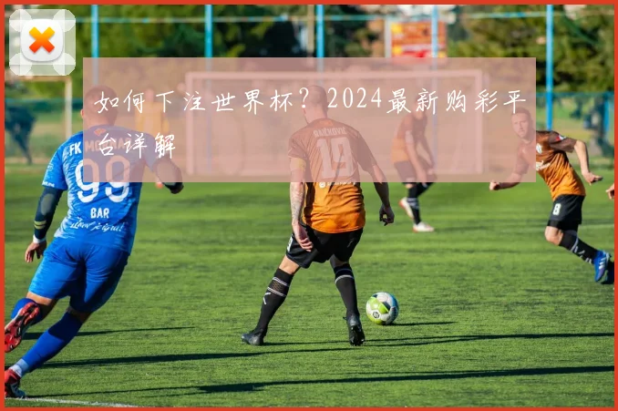 如何下注世界杯?2024最新购彩平台详解