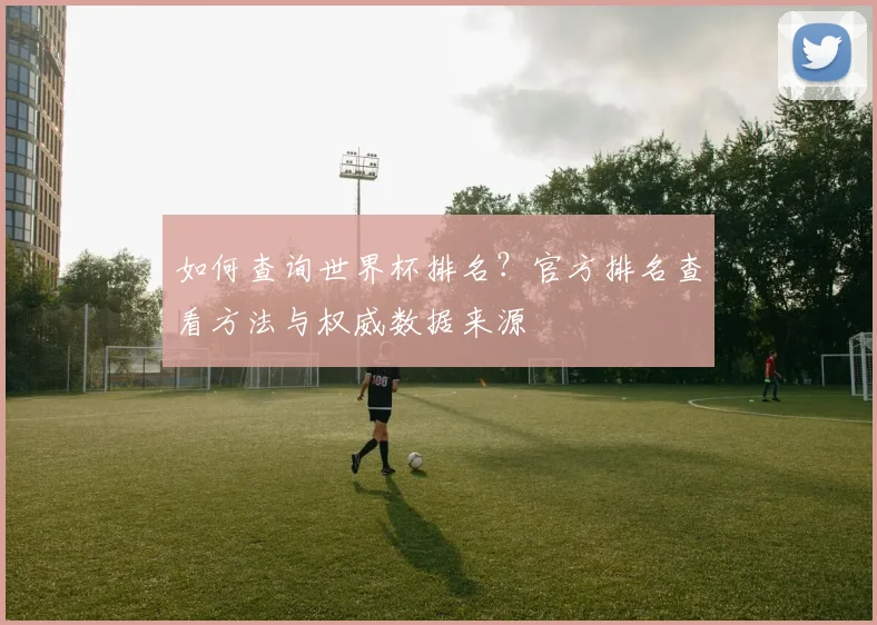 如何查询世界杯排名？官方排名查看方法与权威数据来源