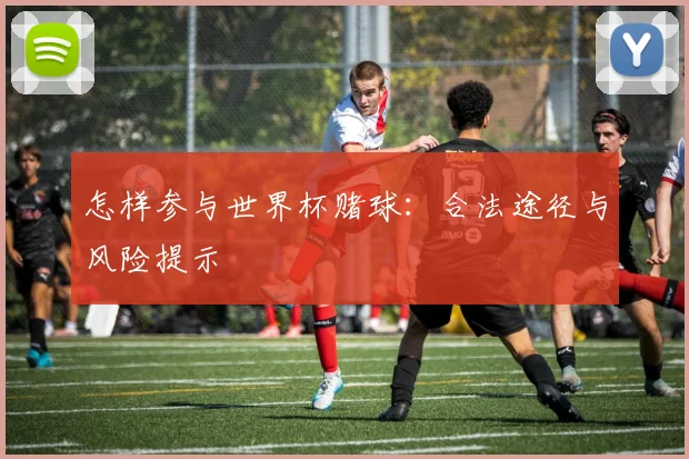 怎样参与世界杯赌球：合法途径与风险提示