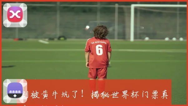 别被黄牛坑了！揭秘世界杯门票真实价格区间