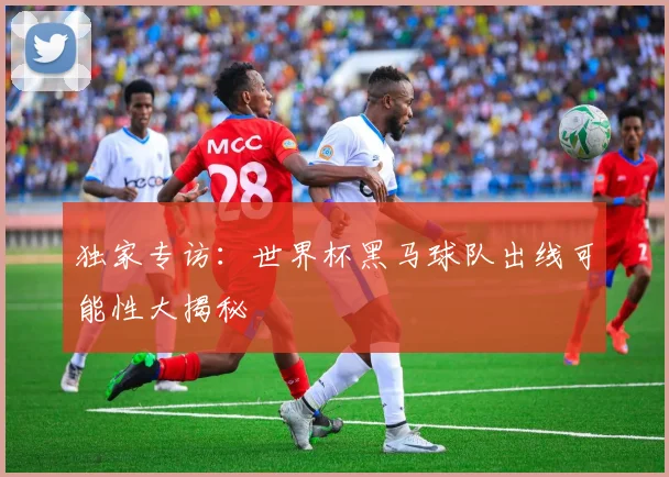 独家专访：世界杯黑马球队出线可能性大揭秘