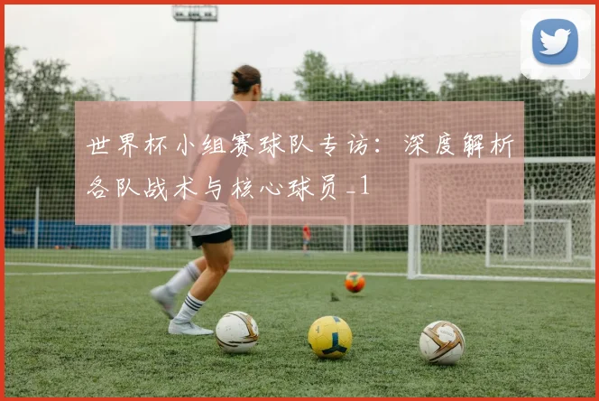 世界杯小组赛球队专访：深度解析各队战术与核心球员_1