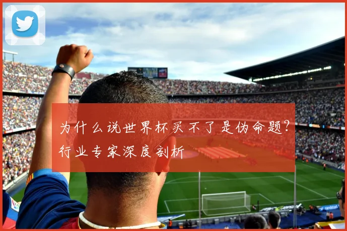 为什么说世界杯买不了是伪命题？行业专家深度剖析
