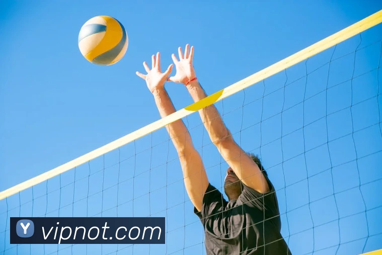 开云手机在线官网登录平台生态图